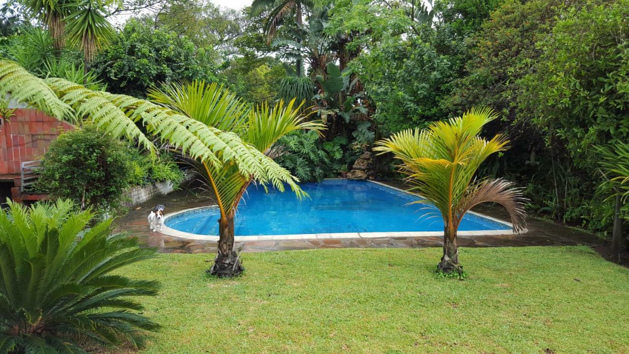 African Dwarf Kingfisher Guesthouse Eshowe Exterior foto